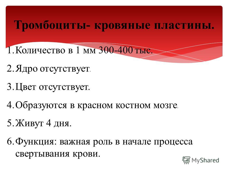 Презентация на тему движение крови по сосудам