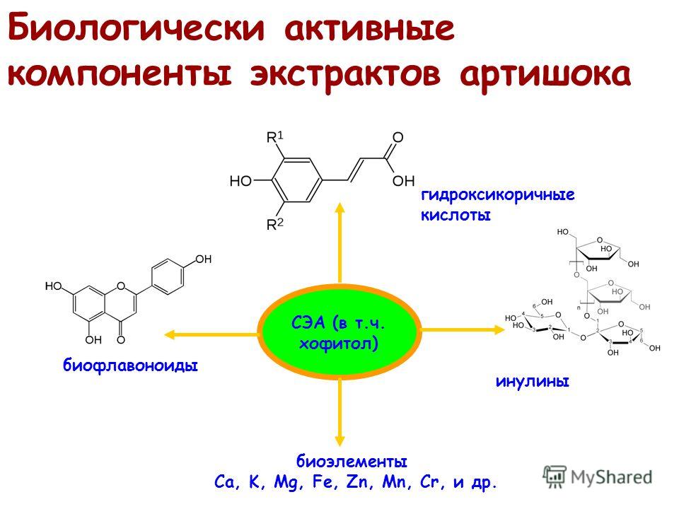 хофитол при высоком холестерине хофитол при высоком холестерине