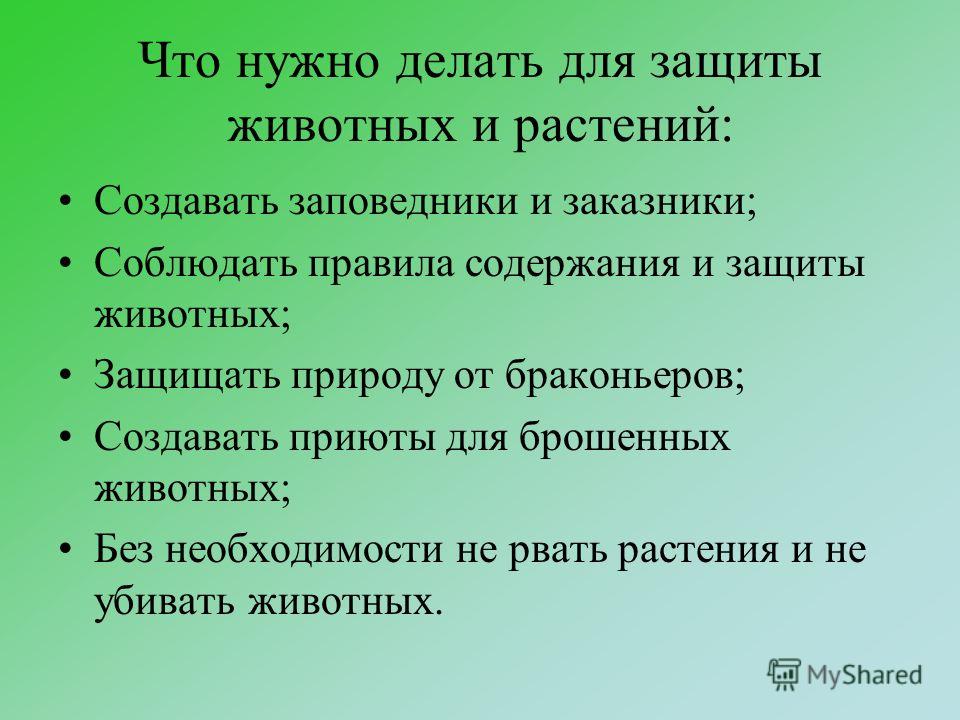 Книжка малышка берегите животных 196