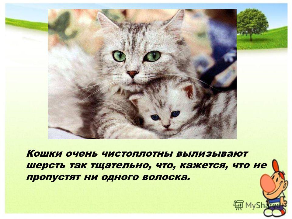 Уход за ушами у людей Уход за ушами у людей