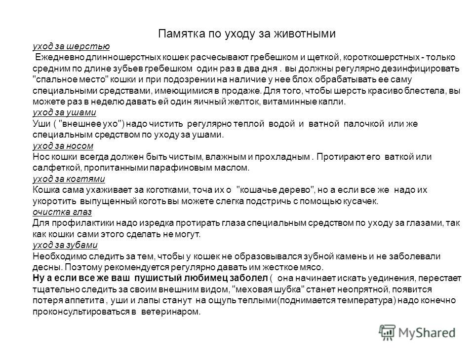 Подари Стихи агентство стихов и поздравлений Перегородка из гипсокартона своими руками - межкомнатная