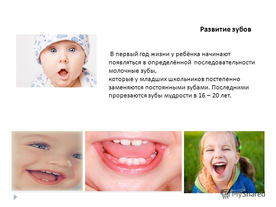 Сказка Черная курица, или Подземные жители Римские каникулы - SPA-салон