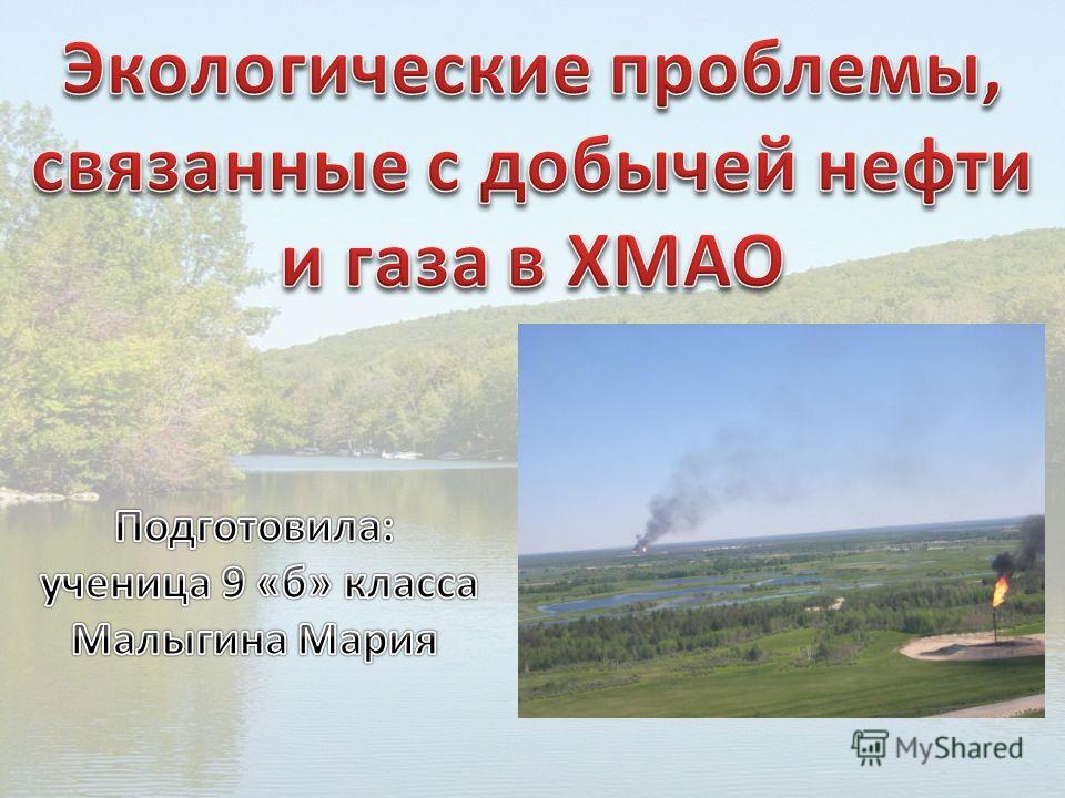 Экологические проблемы связаны с добычей газа Экологические проблемы связаны с добычей газа