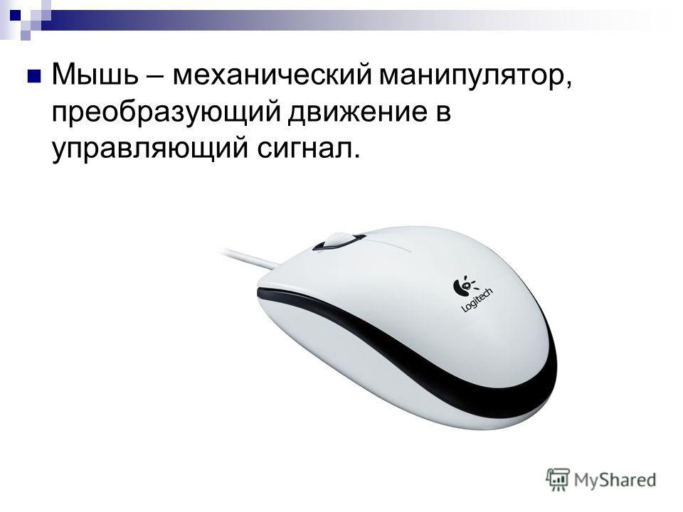 средство для вывода паразитов из организма человека средство для вывода паразитов из организма человека