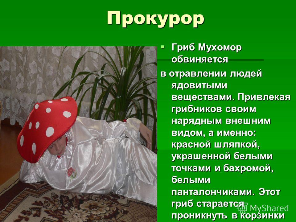 Сценарий экологического суда Сценарий экологического суда
