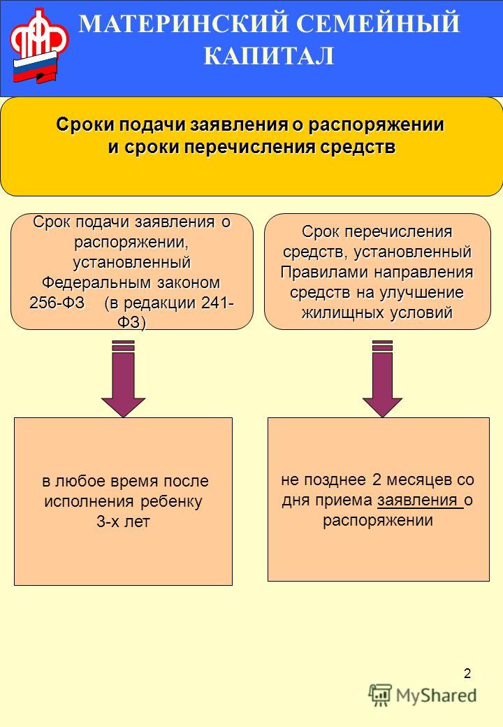 Направление Средств Материнского Капитала Курсовая Направление Средств Материнского Капитала Курсовая