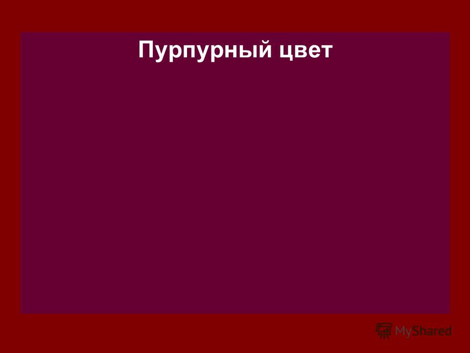 Пурпурный Цвет Это Какой Показать Фото Цветов