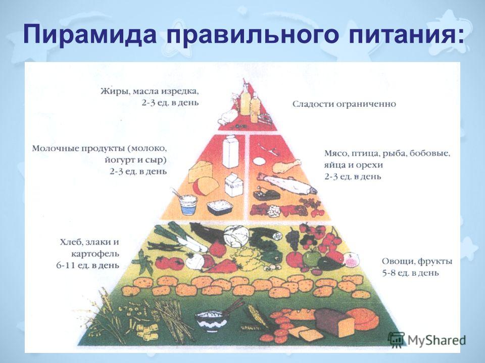 Пирамида Правильного Питания Мясо Рыба Молоко