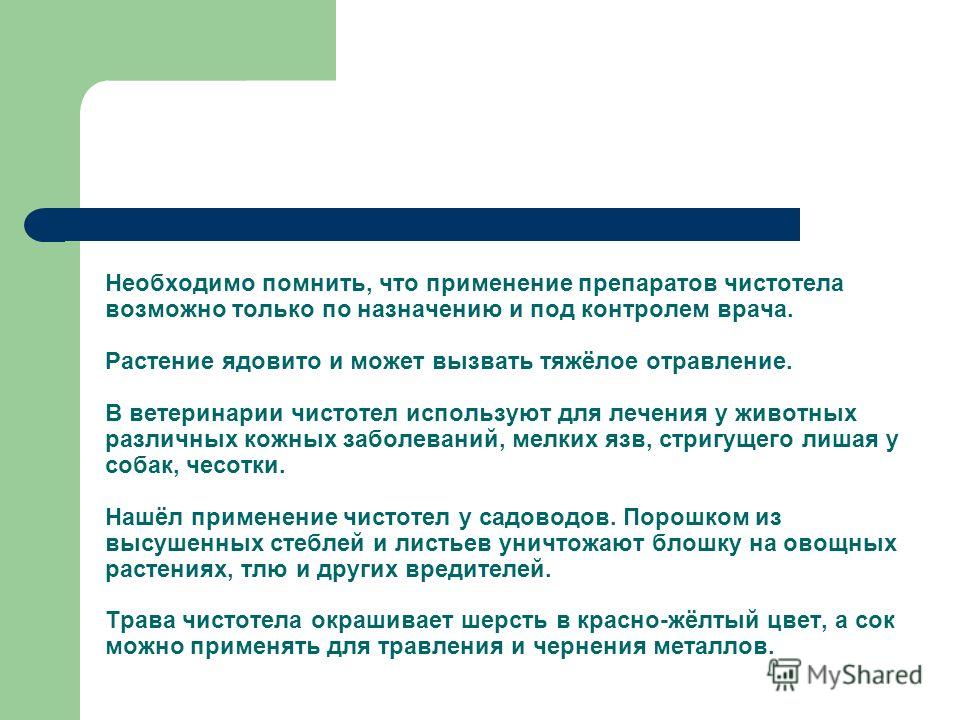 как применять полынь от паразитов как применять полынь от паразитов