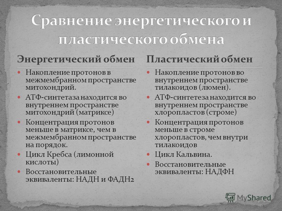 Презентация кислородный этап энергетического обмена