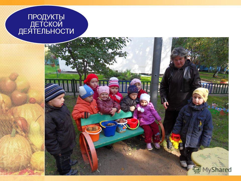 Проект в детский сад огород Проект в детский сад огород