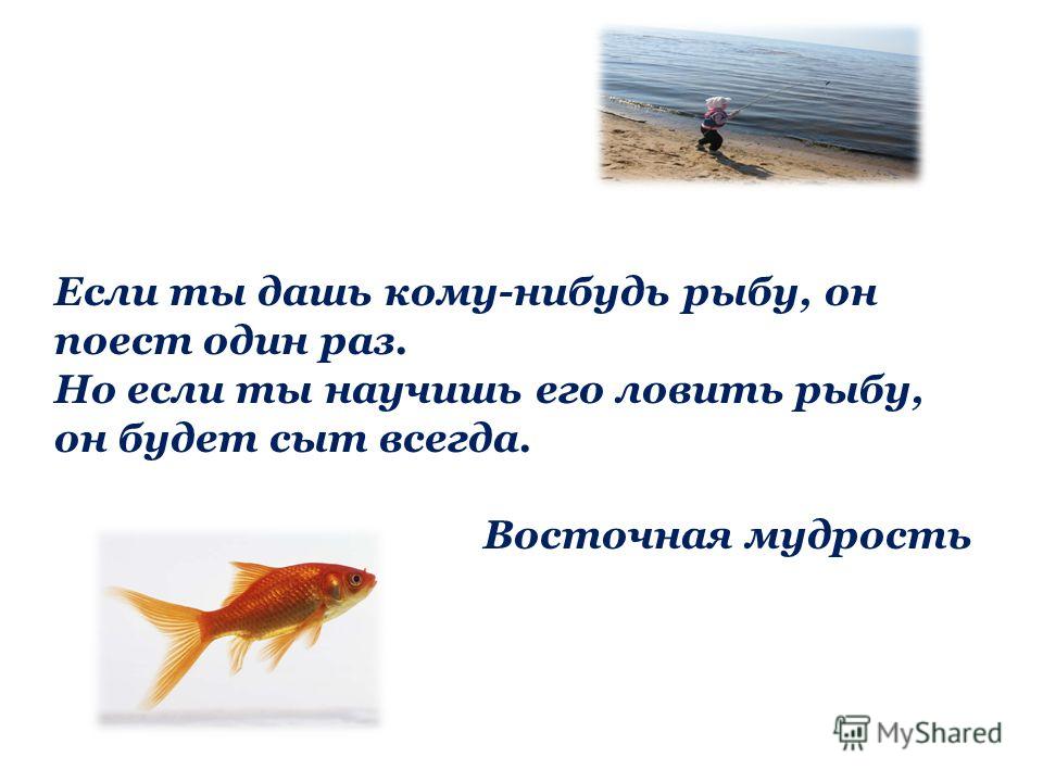 дай голодному рыбу и ты накормишь его на один день дай голодному рыбу и ты накормишь его на один день