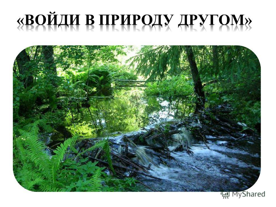 Новости - Правительство России Насадка на триммер - лодочный мотор? : Все о лодках и