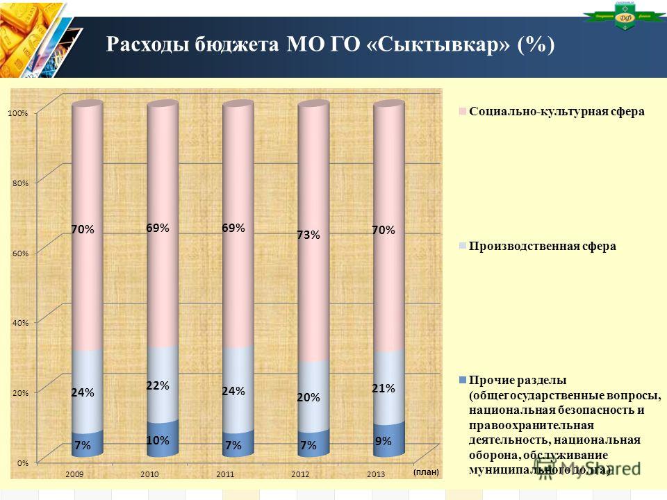 Расходы бюджета МО ГО «Сыктывкар» (%) (план)