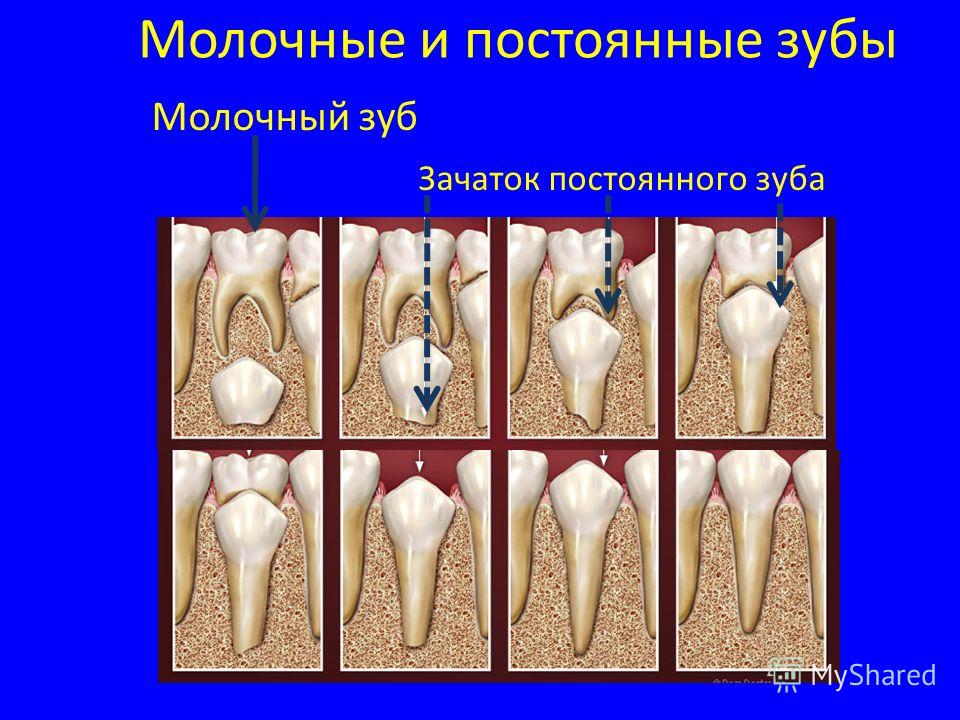 Статусы про маму. Красивые, со смыслом и до слез Салон красоты Кудряшка