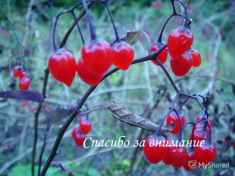 Логистика тесно связана с Логистика тесно связана с