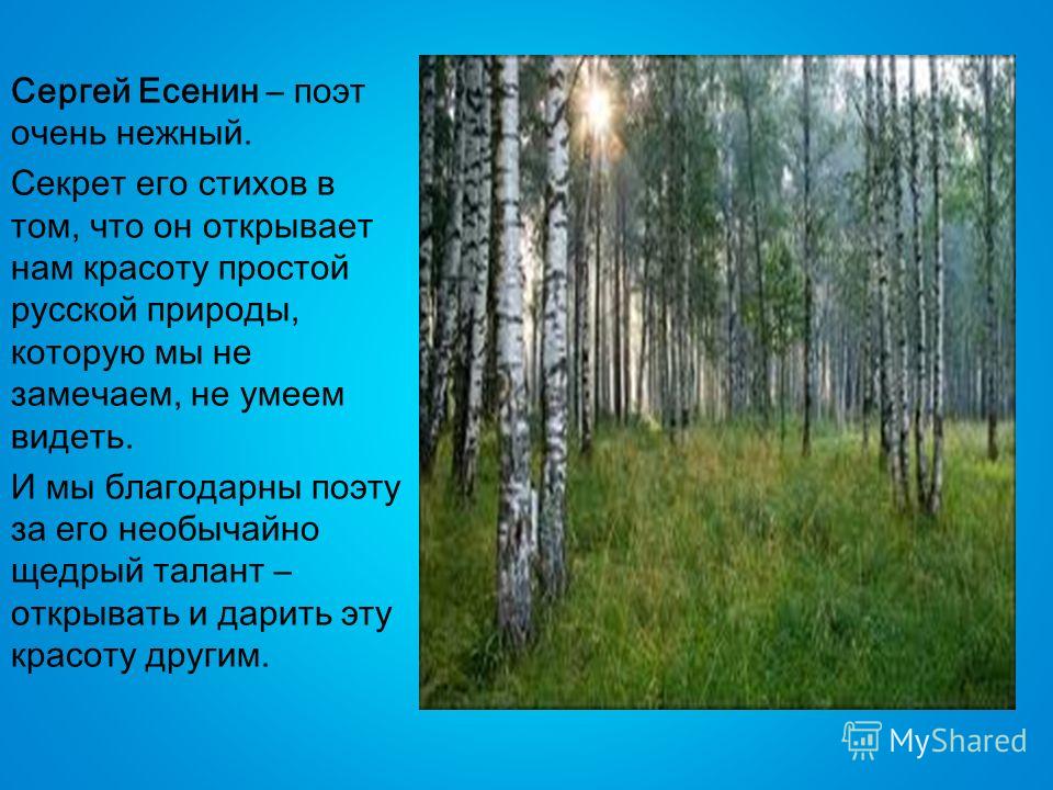 Стихи есенина про красоту природы Стихи есенина про красоту природы