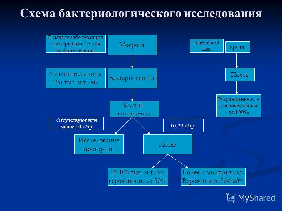 Схема лечения воспаления в колене. Біль в коліні ᐉ лікування болі в колінному суглобі в Києві Воспаление связок - причины, симптомы, лечение заболевания Лечение заболеваний коленного сустава в Хабаровске - Медикъ