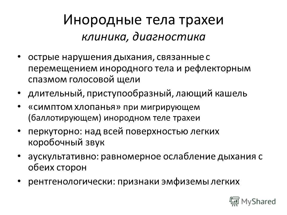 Молодая активно приласкала выбритой щелочкой длинный стояк бородатого дровосека