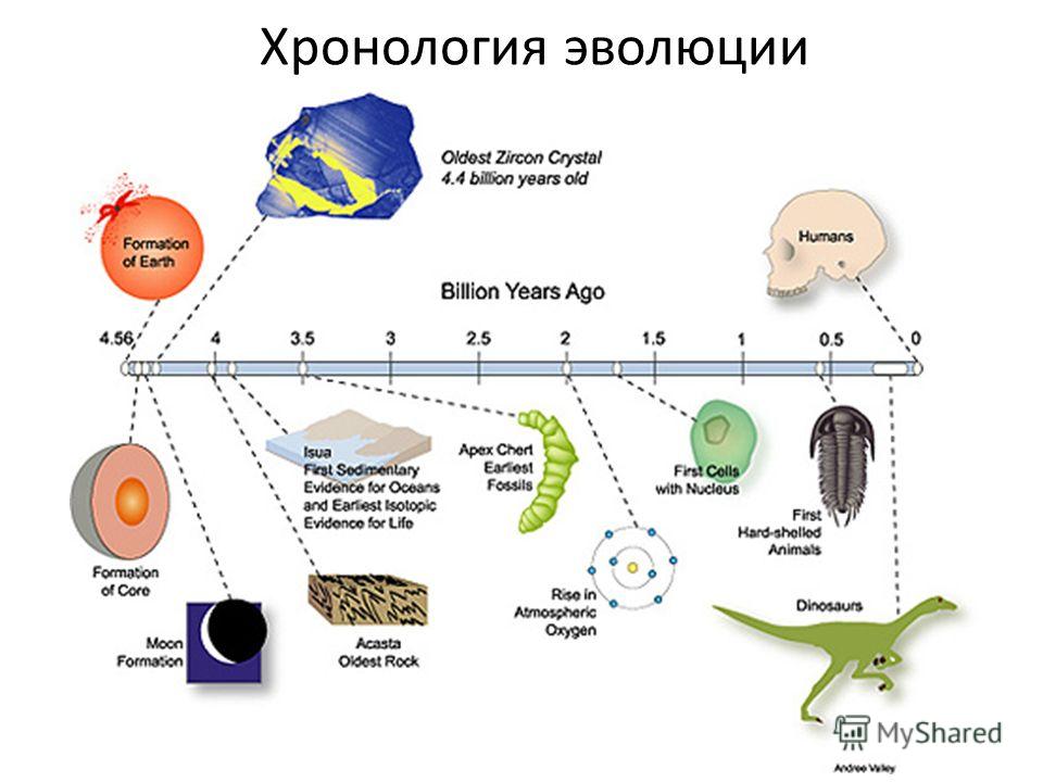 the evolution of life around technology the evolution of life around technology