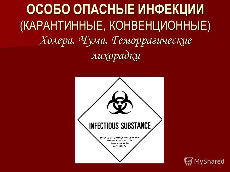 Реферат особо опасные инфекции холера 5807
