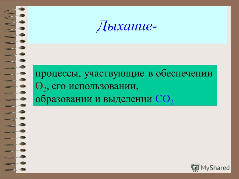 Как майнкрафте сделать катер Как майнкрафте сделать катер