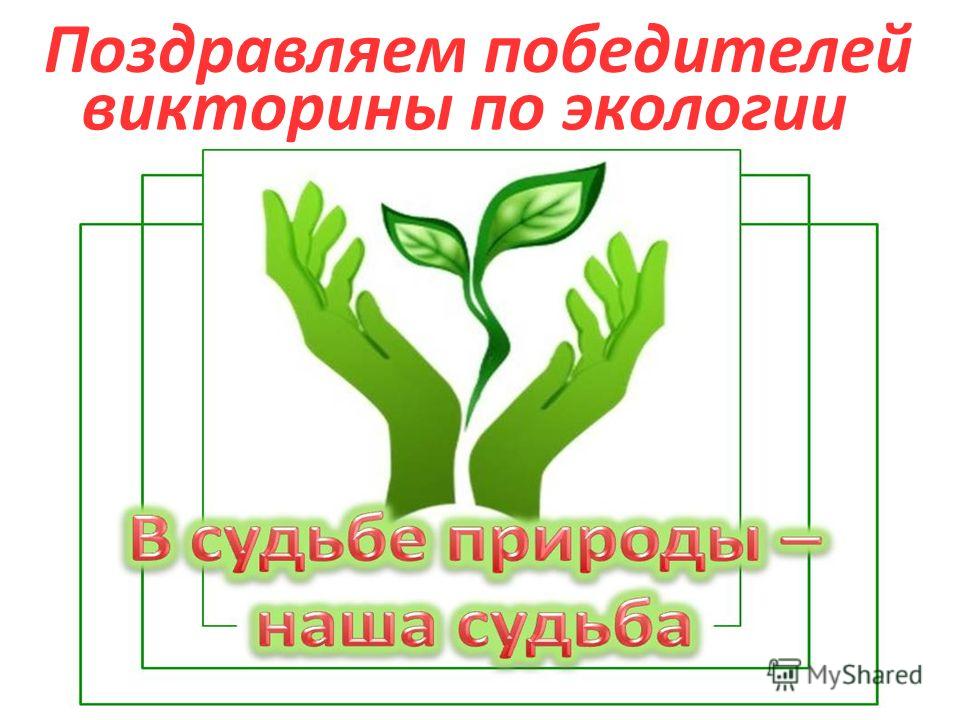 Викторина по экологии с ответами: вопросы для младших классов, для юных экологов, вопросы для викторины: Экология – цифры и факты Викторина по экологии с ответами: вопросы для младших классов, для юных экологов, вопросы для викторины: Экология – цифры и факты