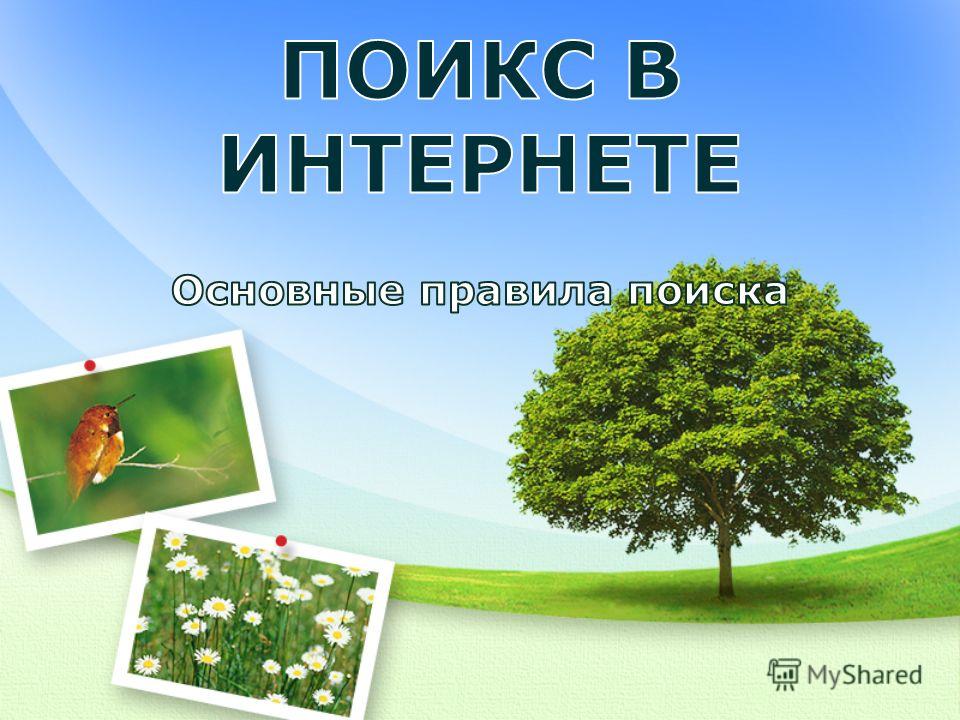 Определение Растения По Фото Яндекс