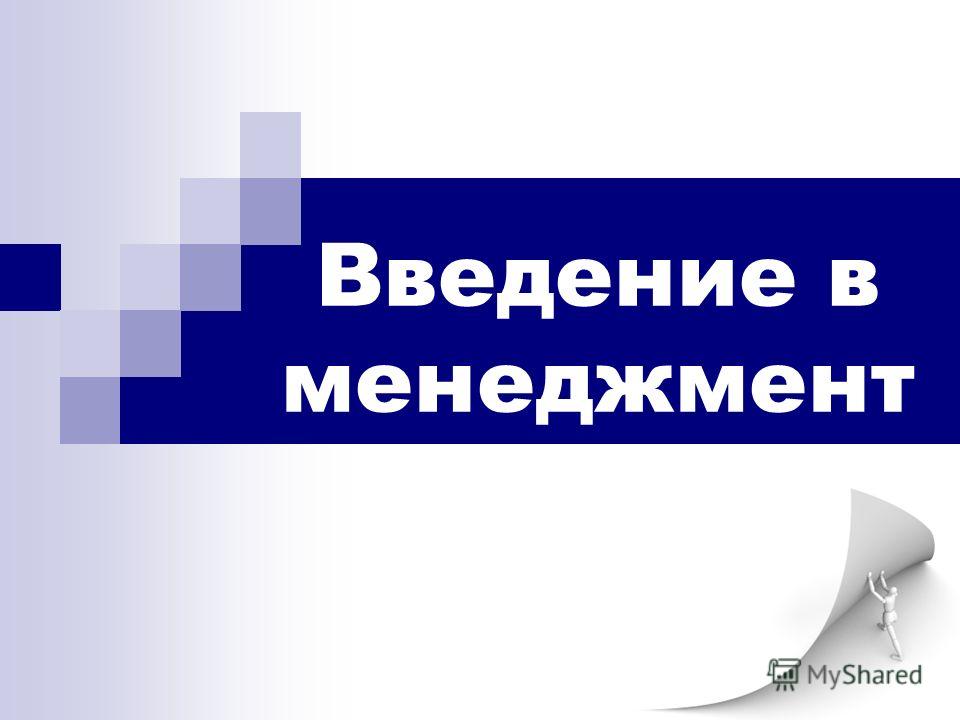 Организация как самостоятельная система Организация как самостоятельная система
