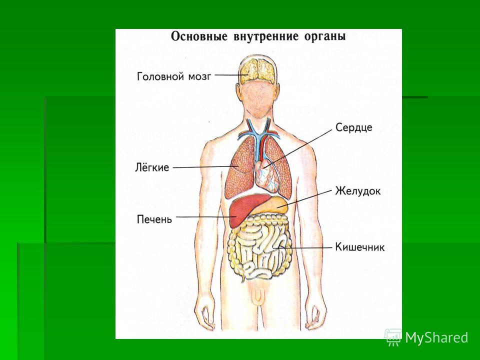 При кифозе боль в грудном отделе позвоночника