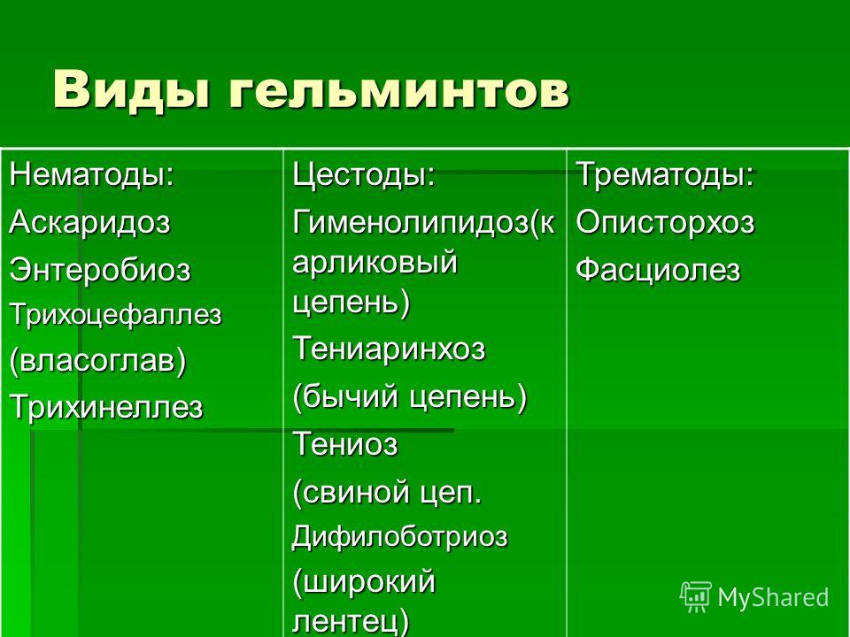 Гельминты Виды Фото