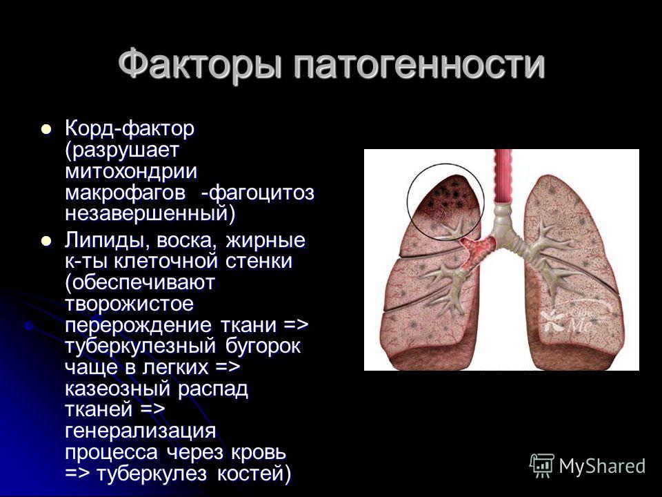 Незавершенный фагоцитоз в гинекологии