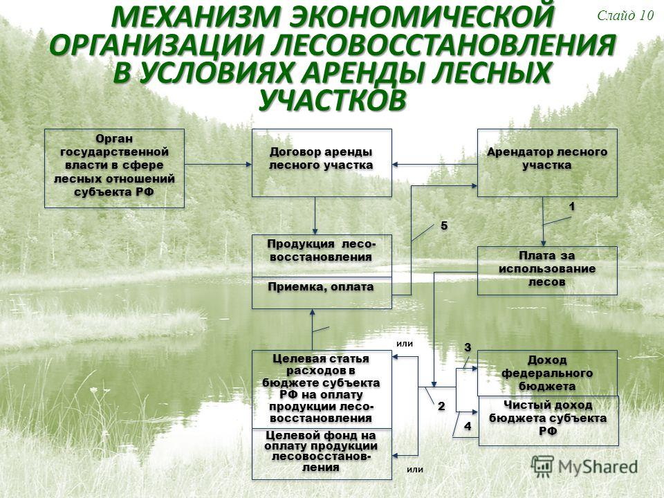 Продажная русская отдалась иностранцу в лесном массиве