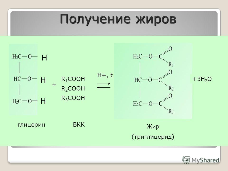 Н Н Н R 1 COOH R 2 COOH R 3 COOH + +3Н 2 О H+, t глицеринВКК Жир (триглицерид) Получение жиров