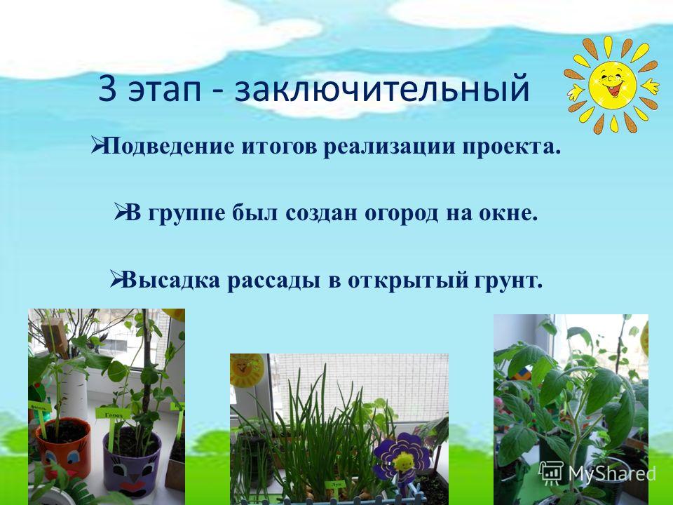 Проект зеленый подоконник 2 класс