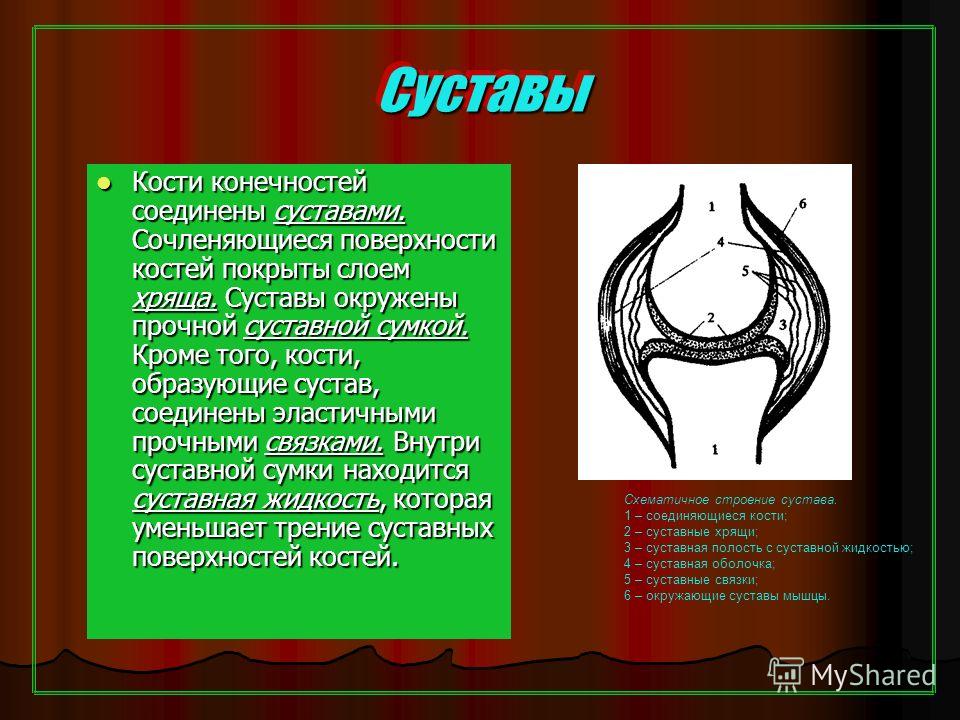 Тазобедренный сустав замена ограничения Тазобедренный сустав замена ограничения
