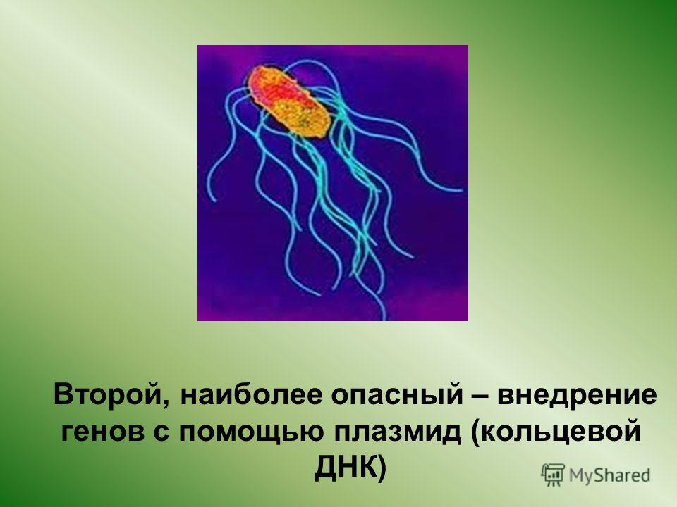 организм хозяина является для паразита средой обитания организм хозяина является для паразита средой обитания