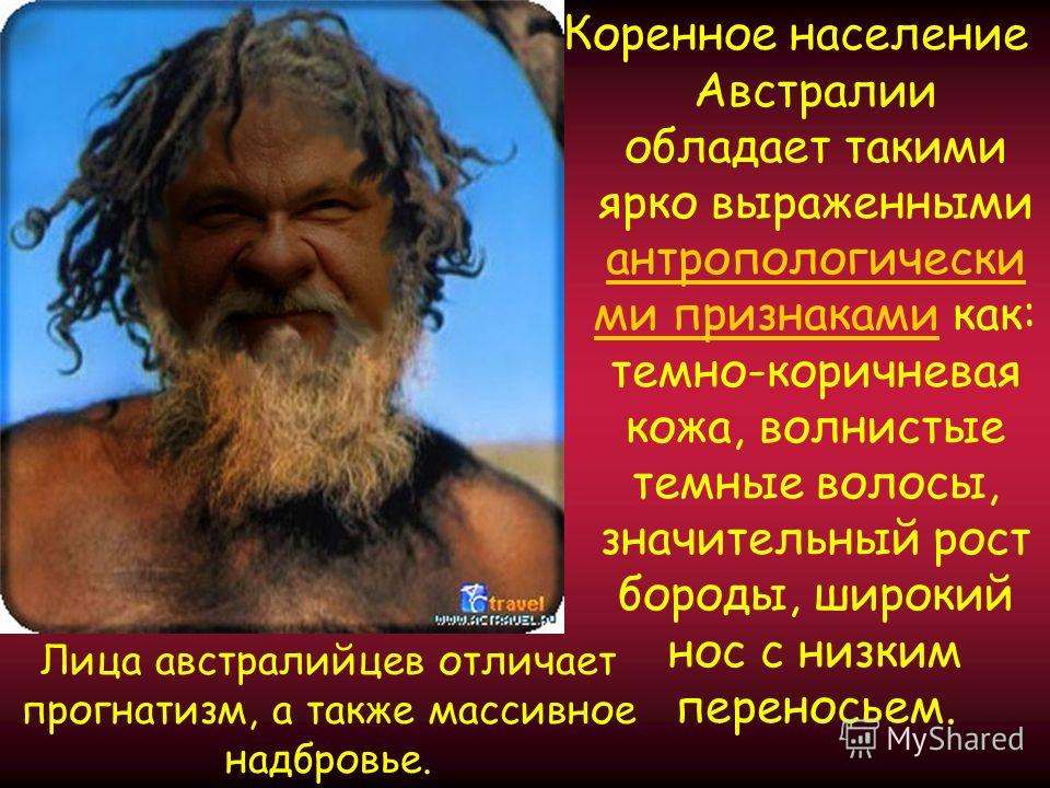 переделанная песня наш сосед текст Презентация на тему занятия населения тайги бесплатно и без регистрации