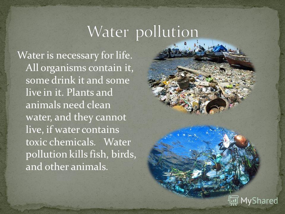 Water is necessary for life. All organisms contain it, some drink it and some live in it. Plants and animals need clean water, and they cannot live, if water contains toxic chemicals. Water pollution kills fish, birds, and other animals.