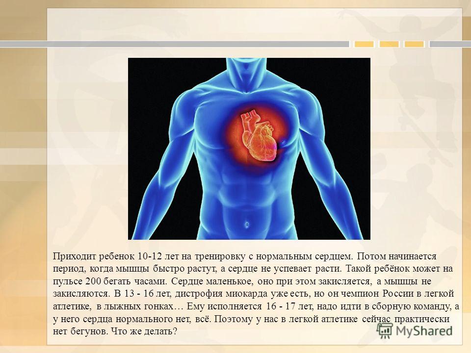 Значение Физической Тренировки Мышц Анатомия Реферат Значение Физической Тренировки Мышц Анатомия Реферат