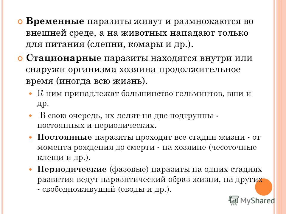 наружные паразиты человека наружные паразиты человека