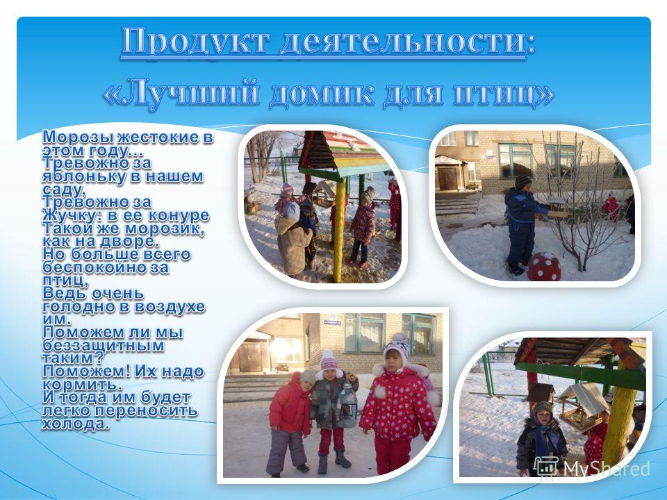Зимующие птицы в раскрасках Зимующие птицы в раскрасках
