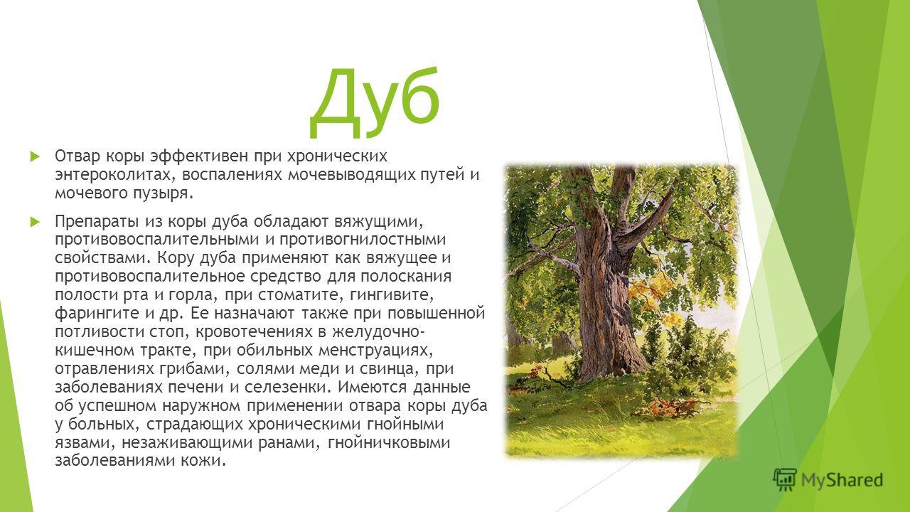Вяжущее вещество из коры дуба 5 букв Вяжущее вещество из коры дуба 5 букв