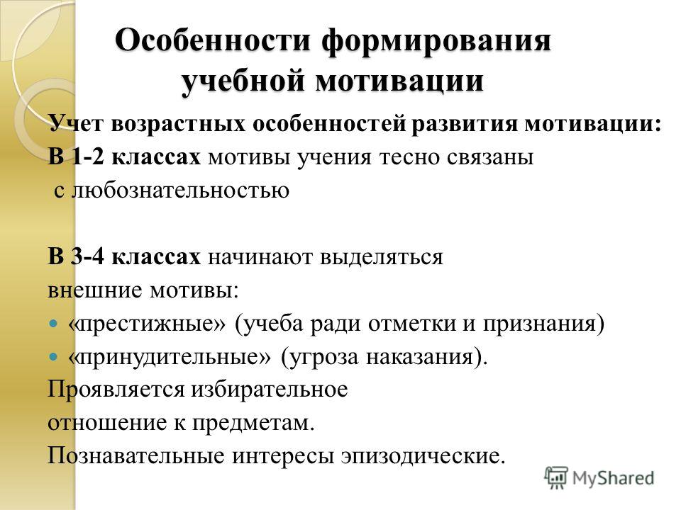 Отдел кадров. ПРАВО - Законодательство Республики Беларусь Ответы Как связать одежду для кошки