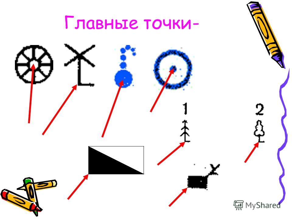 Топографический План И Топографическая Карта 6 Класс Презентация