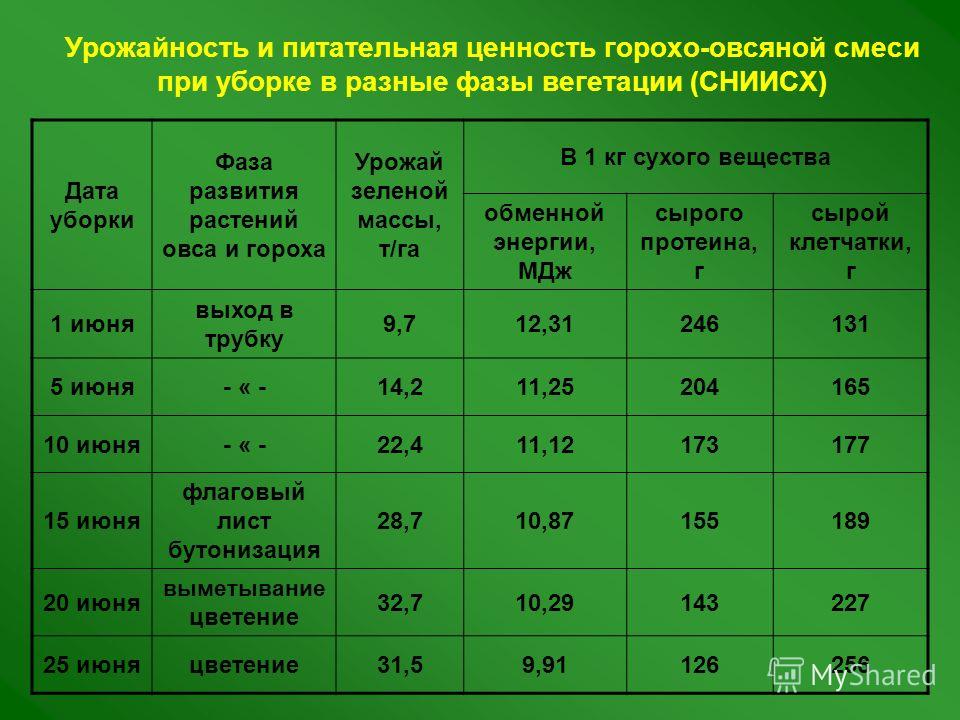 Продуктивность и урожай Продуктивность и урожай
