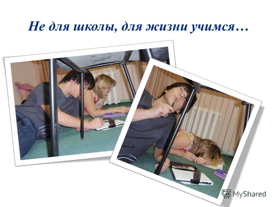 Эссе педагогов на конкурс учитель года Эссе педагогов на конкурс учитель года