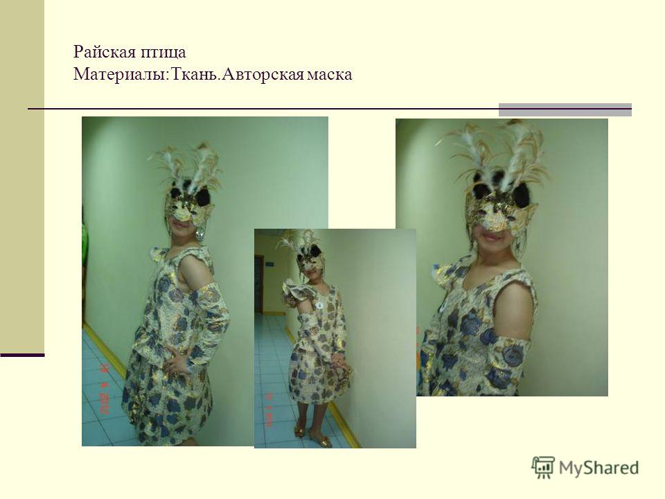 Туника Кошка
