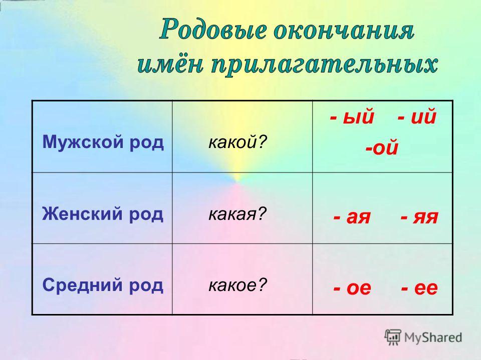 видео кабинка для переодевания