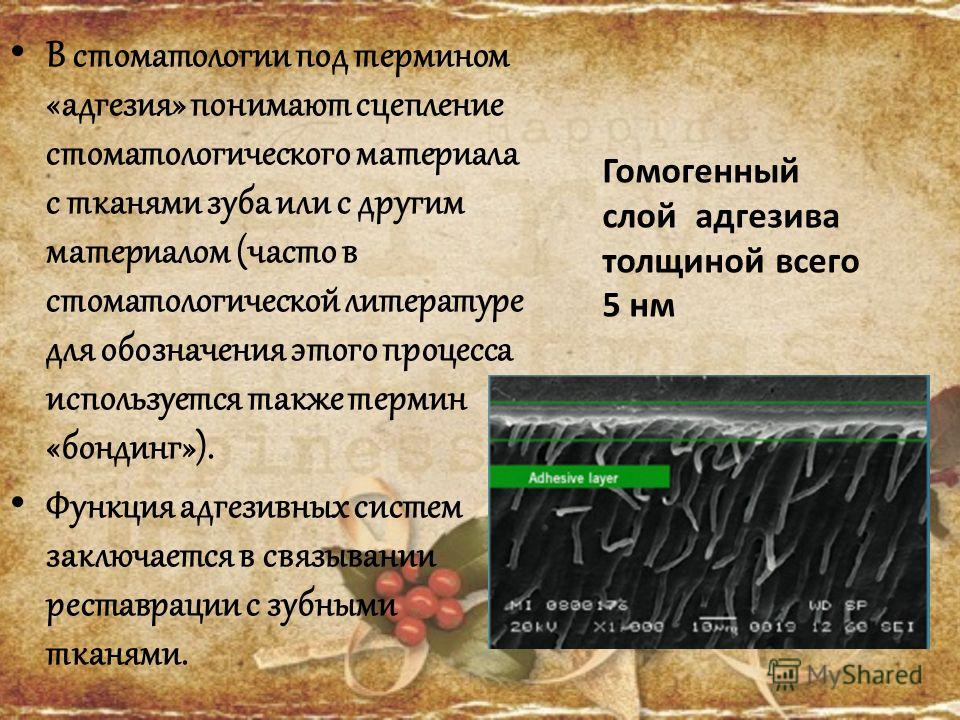 Адгезивные Системы В Стоматологии Реферат Адгезивные Системы В Стоматологии Реферат